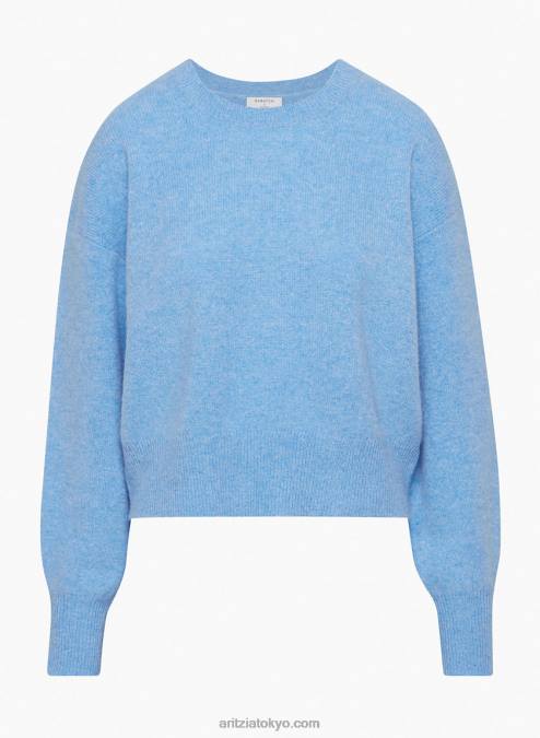 カシミヤセーター P2L803222 Aritzia Donatello Luxe Cashmere Sweater