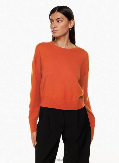 メリノ ウール クルーネック セーター P2L803670 Aritzia Donatello セーター