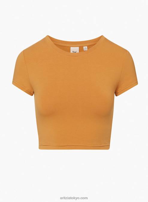 Aritzia Chill Ortiz クロップド クルーネック Tシャツ P2L80341