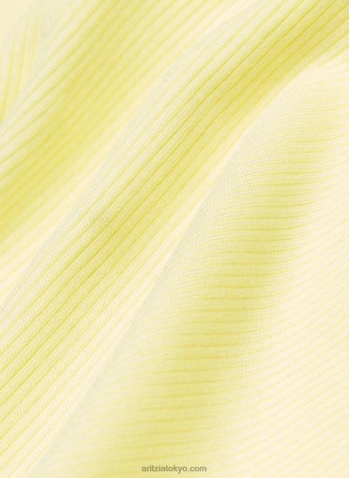 クロップド リブ タンクトップ P2L801613 Aritzia Camille タンクトップ