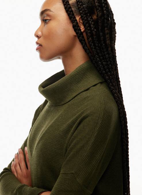 サーマルカウルネックロングスリーブ P2L801775 Aritzia サーマルカウルネック