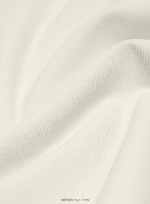 クルーネック ロングスリーブ P2L80396 Aritzia Contour Crew Longsleeve
