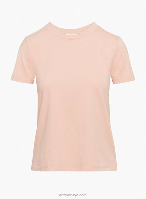 クルーネックTシャツ P2L801099 Aritzia Mainland Tシャツ