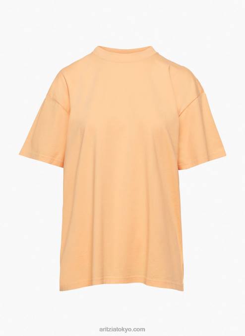 リラックスクルーネックTシャツ P2L801202 アリツィア 神話Tシャツ