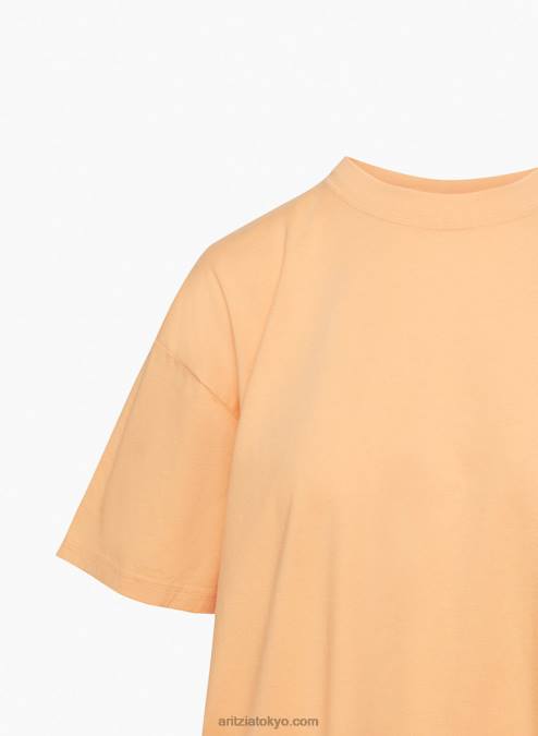 リラックスクルーネックTシャツ P2L801202 アリツィア 神話Tシャツ