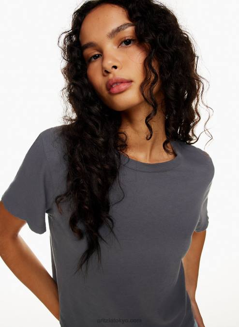 クルーネックTシャツ P2L801229 Aritzia The Vintage Crop Tee