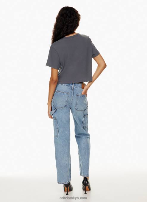 クルーネックTシャツ P2L801229 Aritzia The Vintage Crop Tee