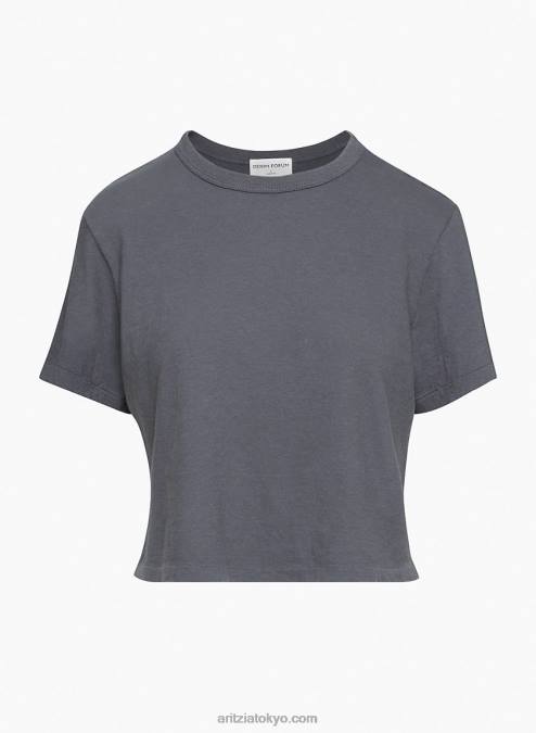 クルーネックTシャツ P2L801229 Aritzia The Vintage Crop Tee