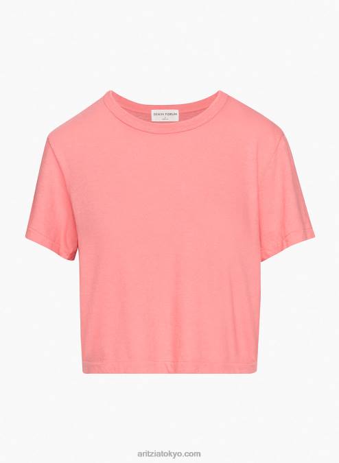 クルーネックTシャツ P2L801231 Aritzia The Vintage Crop Tee