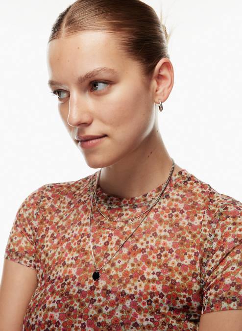 シアー クルーネック Tシャツ P2L802027 Aritzia Dixie Tシャツ