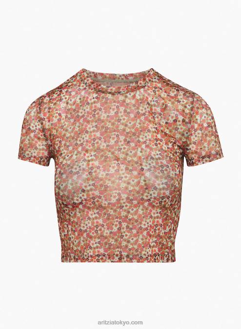 シアー クルーネック Tシャツ P2L802027 Aritzia Dixie Tシャツ