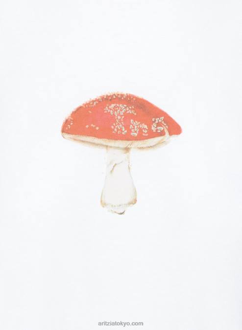 オーバーサイズ コットン Tシャツ P2L802138 Aritzia Davis Tシャツ