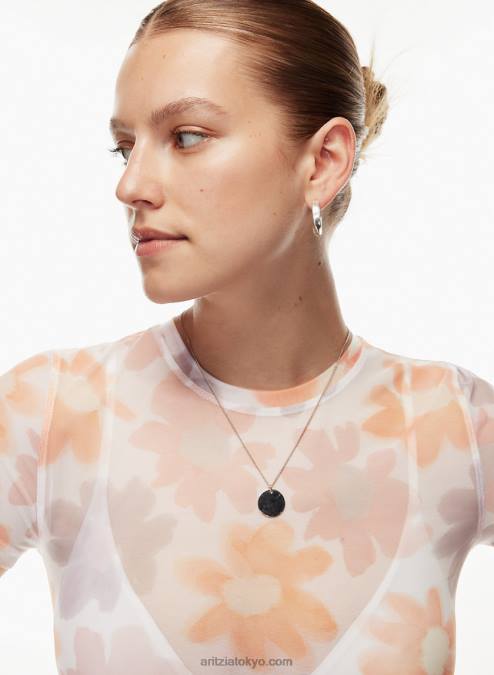 シアー クルーネック Tシャツ P2L802193 Aritzia Dixie Tシャツ