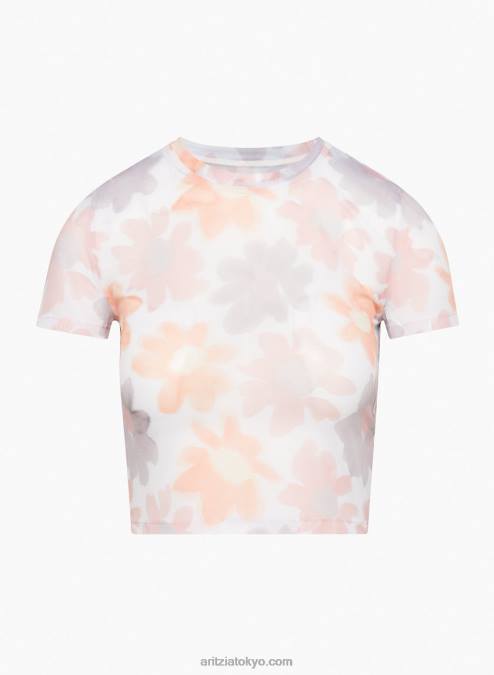 シアー クルーネック Tシャツ P2L802193 Aritzia Dixie Tシャツ