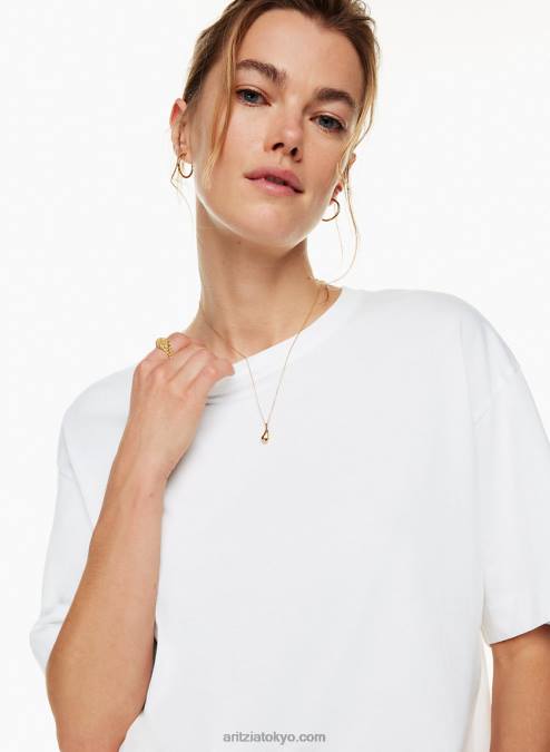 リラックスクルーネックTシャツ P2L802256 Aritzia Badlands Tシャツ