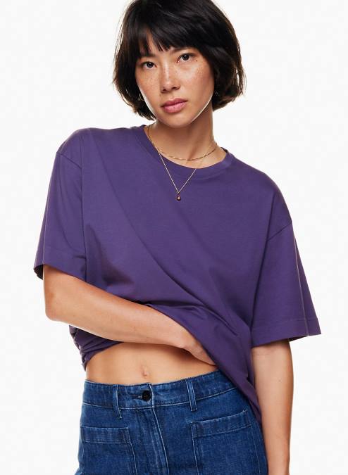 リラックスクルーネックTシャツ P2L802257 Aritzia Badlands Tシャツ