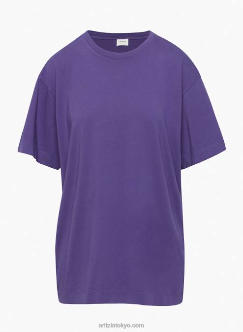 リラックスクルーネックTシャツ P2L802257 Aritzia Badlands Tシャツ
