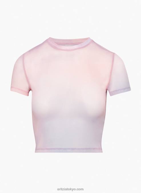 シアー クルーネック Tシャツ P2L802321 Aritzia Dixie Tシャツ