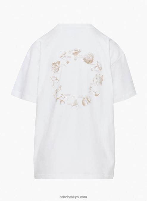 オーバーサイズ Tシャツ P2L802331 Aritzia Davis Tシャツ
