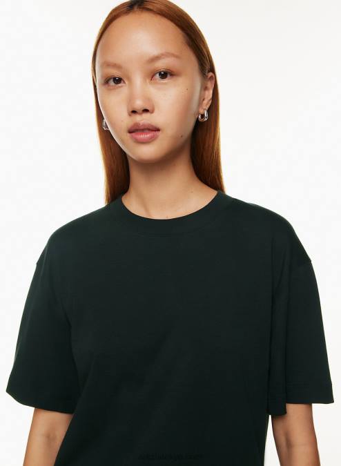 リラックスコットンTシャツ P2L80519 アリツィア ペガサス Tシャツ