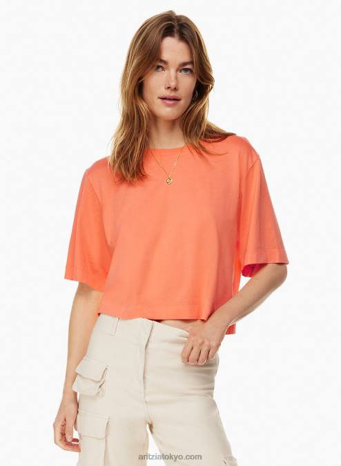 クルーネックTシャツ P2L80548 アリツィア ゲッタウェイ Tシャツ