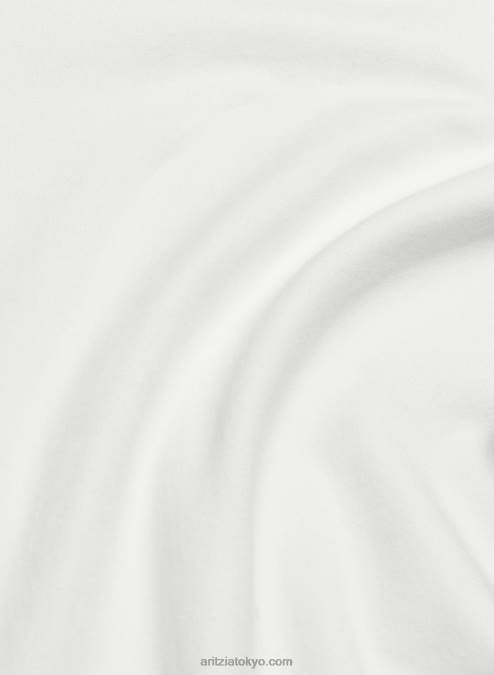 スリムフィットクルーネックTシャツ P2L80592 Aritzia Chill Ortiz Tシャツ