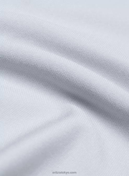 シームレス クルーネック Tシャツ P2L8061 アリツィア ニューウィロー Tシャツ