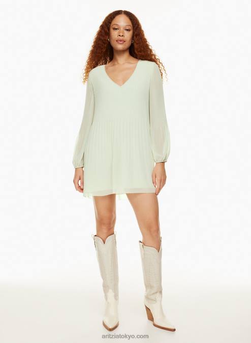 プリーツ V ネック シフォン ドレス P2L805897 Aritzia Daydreamer V ネック ドレス